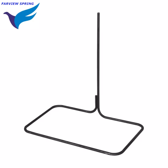 OEM Bending Flat Stainless Steel Spring Wire Form Farview